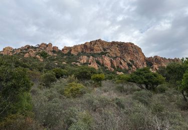 Trail sport Saint-Raphaël - Déambulation Esterel  - Photo