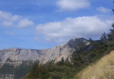 Trail Walking Saint-Julien-en-Quint - pas bouillanin 5 10 23 - Photo