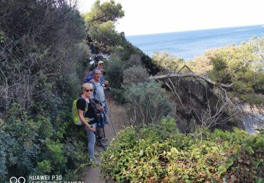 Tour Wandern Hyères - presqu'île de gien partie 2 - Photo