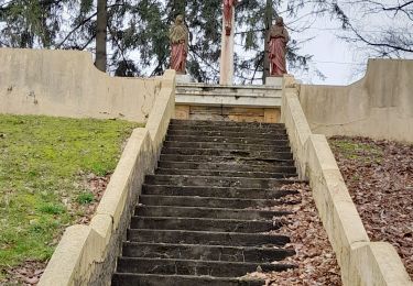Randonnée Marche Aubange - Marche ADEPES Halanzy - Photo