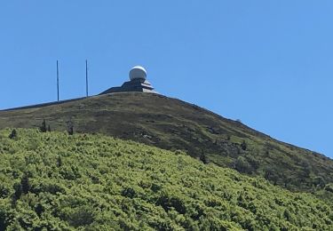 Excursión Senderismo Colmar - Willer sur Thur - Grand Ballon- Willer sur Thur - Photo