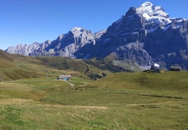 Tocht Stappen Grindelwald - Lacs de Bashsee - Photo