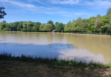 Trail Walking Champier - Les etangs - Photo