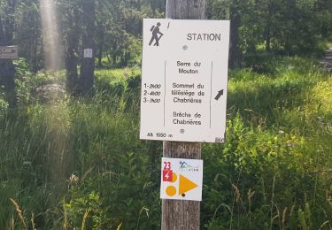 Excursión Senderismo Réallon - serre mouton boucle a partir de la station réalon - Photo