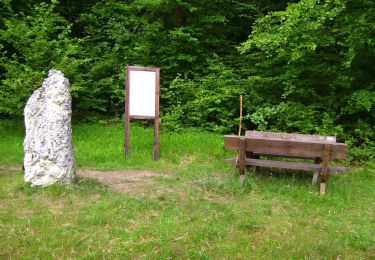 Tocht Te voet Obertrubach - Geschwand Rundwanderweg Signalstein - Photo