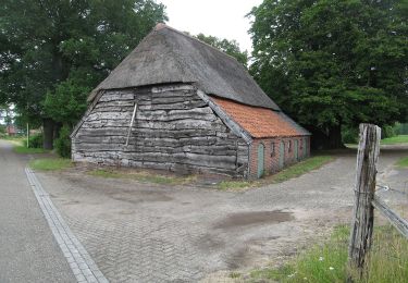 Randonnée A pied Hellendoorn - WNW Twente - Marle/Schuilenburg - oranje route - Photo