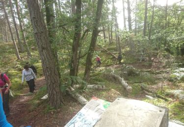 Tocht Stappen Fontainebleau - sambine 28 septembre 2021  - Photo