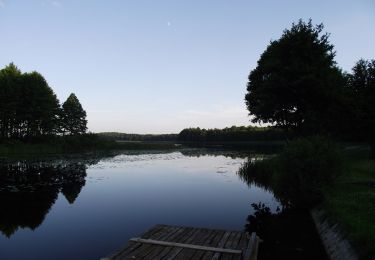 Randonnée A pied Miłomłyn - Ścieżka spacerowa - Photo