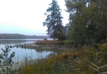 Excursión Senderismo La Jemaye-Ponteyraud - Boucle du Grand Etang - Photo