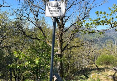 Tour Wandern Bitschweiler - JD 16/20 Willer sur Thur - Ferme Auberge d'Ostein 15km 4h - Photo