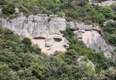 Randonnée Marche Méounes-lès-Montrieux - Bergerie des Maigres by DAL - Photo