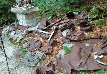 Randonnée Marche Autrans-Méaudre en Vercors - Le bec de Lorient - Photo