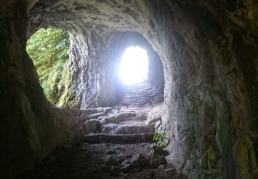 Tour Wandern Krüt - Autour du lac de Kruth-Wildenstein - Photo