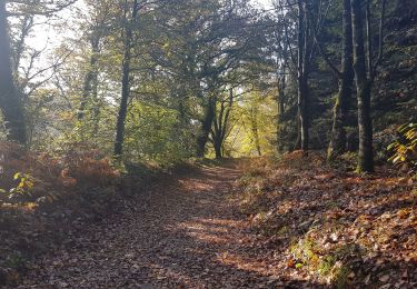 Trail Walking Saint-Allouestre - CA 20191114 MATIN KERGUEHENNEC - Photo