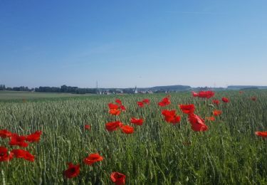 Percorso A piedi Andenne - sclaigneaux - Photo