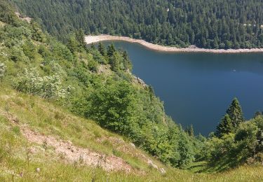 Trail Walking Soultzeren - Le circuit des quatre lacs au départ du lac vert - Photo