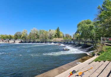 Trail Walking Strasbourg - Histoires d'eaux.... et de forêts au nord de Strasbourg - Photo