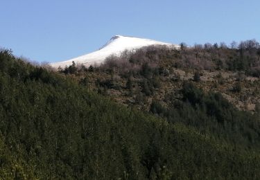 Trail Walking Chaudebonne - la serre de créma  - Photo