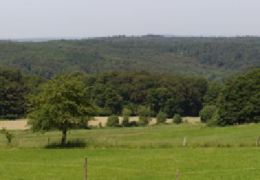 Tour Zu Fuß Gemünden (Felda) - Homberg-Felda Anschluss - Photo