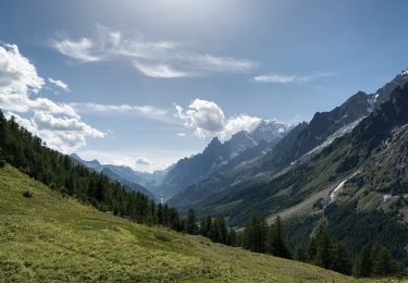 Randonnée A pied Courmayeur - (SI F08) Courmayeur - Rifugio Bonatti - Photo