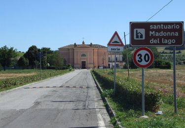 Percorso A piedi Bertinoro - La Via delle Vigne - Photo