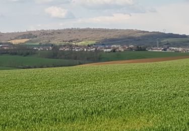 Tocht Stappen Dieulouard - DIEULOUARD - VERS BELLEVILLE ET SAIZERAIS - Photo