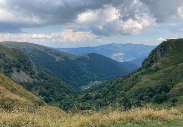 Trail Walking La Bresse - Le Hohneck - Photo