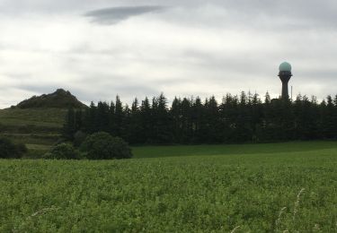 Tour Wandern Les Plans - Forêt domaniale d'Escandorgue par Roqueredonde et l'Engayresque - Photo