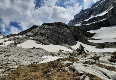 Percorso Marcia Samoëns - en direction du Lac des Chambres  - Photo