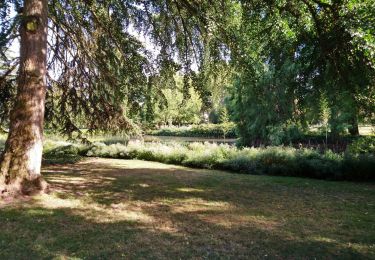 Excursión Senderismo Tours - Tours GR3 Loire - 11.4km 50m 2h10 - 2018 06 03 - Photo
