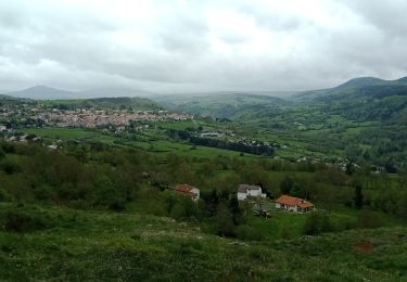 Trail Walking Le Puy-en-Velay - 1 Stevenson Le Puy en Velay - Le Monastier sur Gazeille - Photo