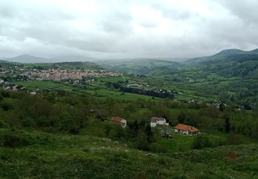 Randonnée Marche Le Puy-en-Velay - 1 Stevenson Le Puy en Velay - Le Monastier sur Gazeille - Photo