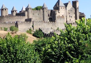 Trail Walking Carcassonne - Carcassonne  - Photo