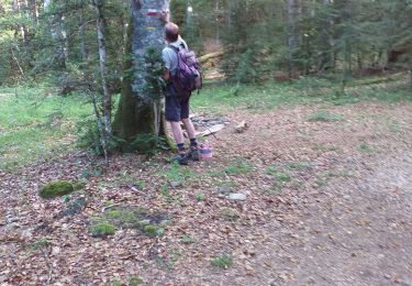 Trail Walking Laruns - balisage GR10 21072020 - Photo