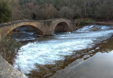 Excursión A pie Vins-sur-Caramy - Vins sur Caramy lac ste Suzanne grotte des résistants... - Photo