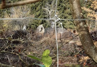 Tour Wandern Ciney - Haid ac 2 - Photo