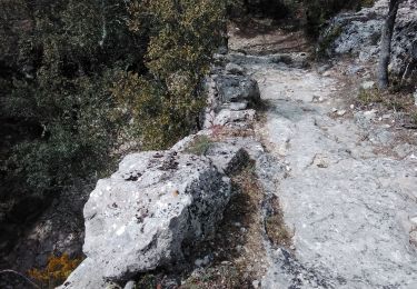 Tocht Stappen Saint-Didier - de St didier au beaucet 84 - Photo