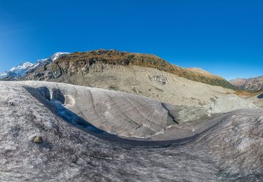 Tour Zu Fuß Pontresina - Morteratsch-chamanna da Boval - Photo