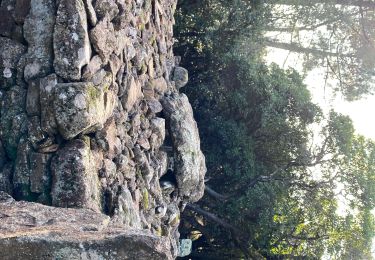 Trail Walking Anduze - Anduze  - Photo
