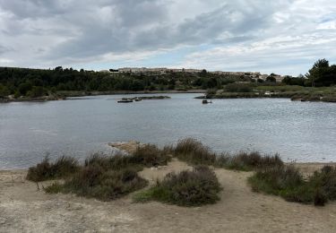 Tour sport Narbonne - Sortie Narbonne plage  - Photo