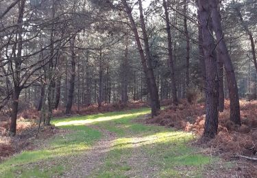 Excursión Senderismo Les Ulmes - les ulmes 220322 - Photo