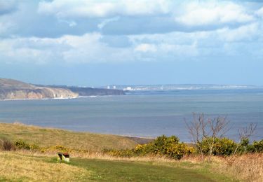 Excursión A pie  - Durham Coastal Path - Photo