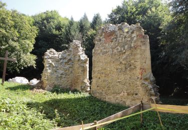 Tocht Te voet Gemeinde Sieghartskirchen - Ried am Riederberg - In der Au über Klosterruine - Photo