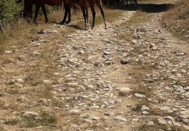 Tour Wandern Arith - Chalet de la Plate, col de la Cochette... - Photo