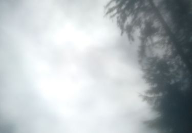 Tour Reiten Bouillon - descente folle - Photo