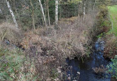 Percorso A piedi Bergen - Südheide 'Salz in der Heide' W16m (mittlere Tour) - Photo