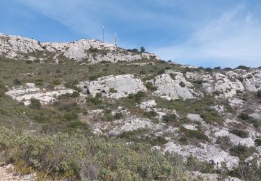 Tocht Stappen Roquevaire - les dansaïres de christian - Photo