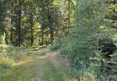 Trail Walking Profondeville - adeps lustin 2025.06 29 CHAUD - Photo