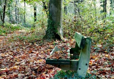 Tour Wandern Bergen - Saint-Symphorien - Photo