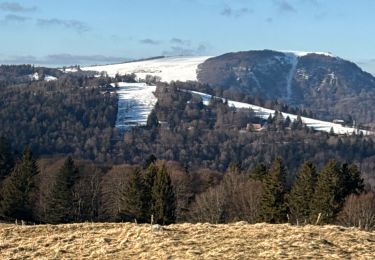 Tocht Stappen Saint-Maurice-sur-Moselle - 20250201 Ballon d’Alsace - Photo